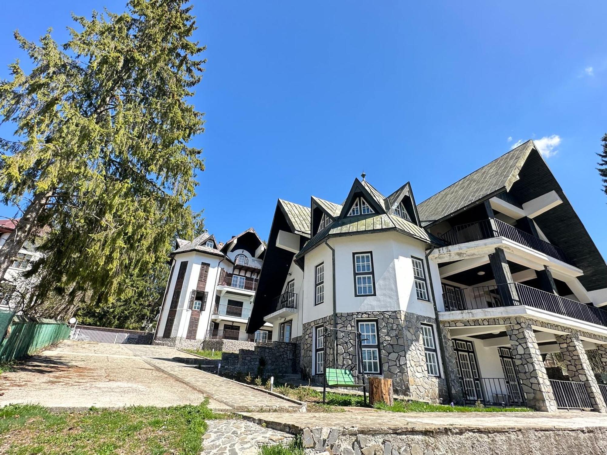Pine Peak Apartments Predeal Exteriér fotografie